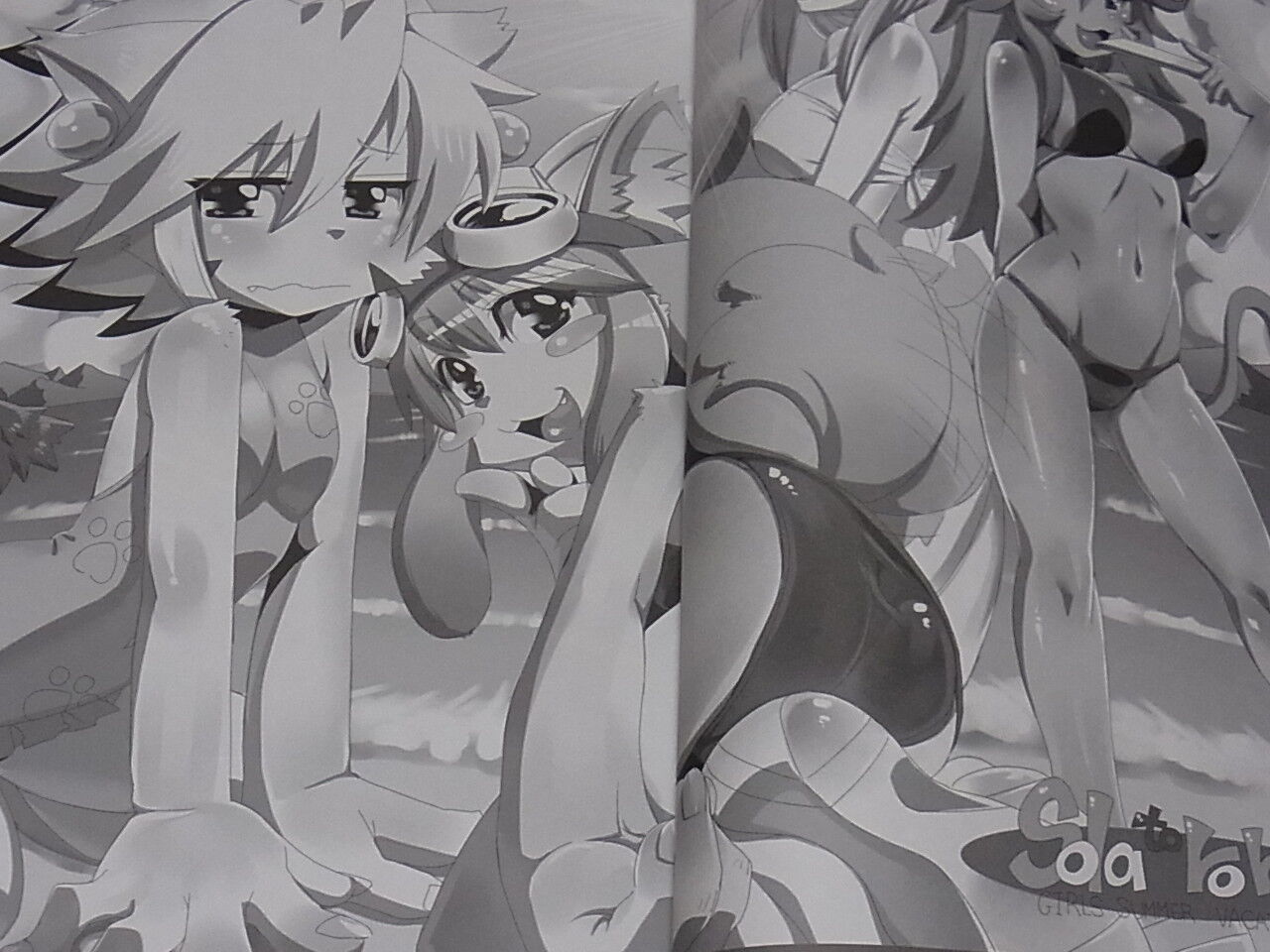 Solatorobo Official Fan Book Illustration Art & Comic 7 CARMINE 