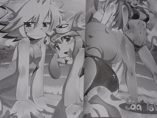 Solatorobo Official Fan Book Illustration Art & Comic 7 CARMINE 