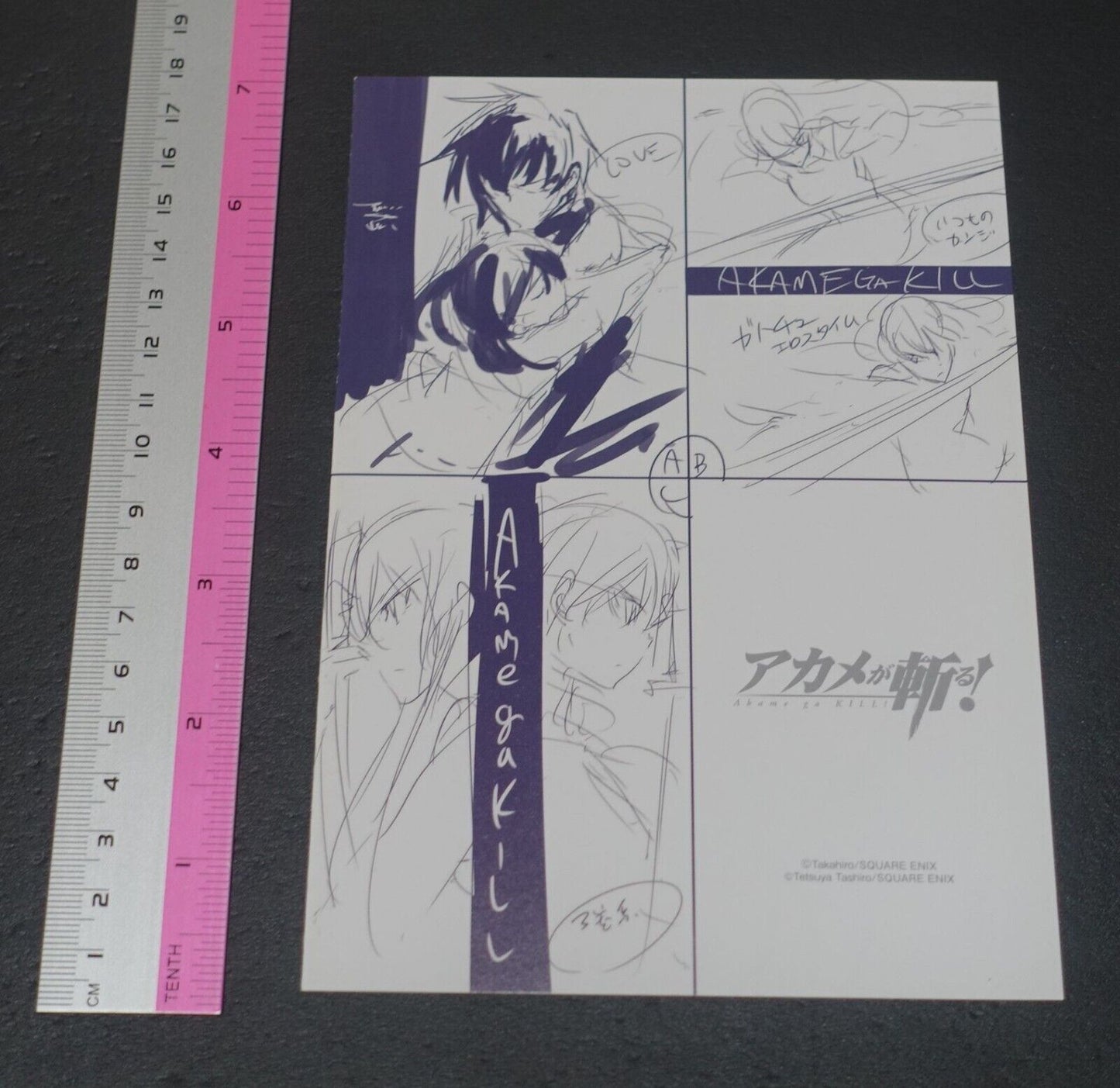 Tetsuya Tashiro Akame ga Kill! Rought Illustration Art Mini Booklet H 4page 