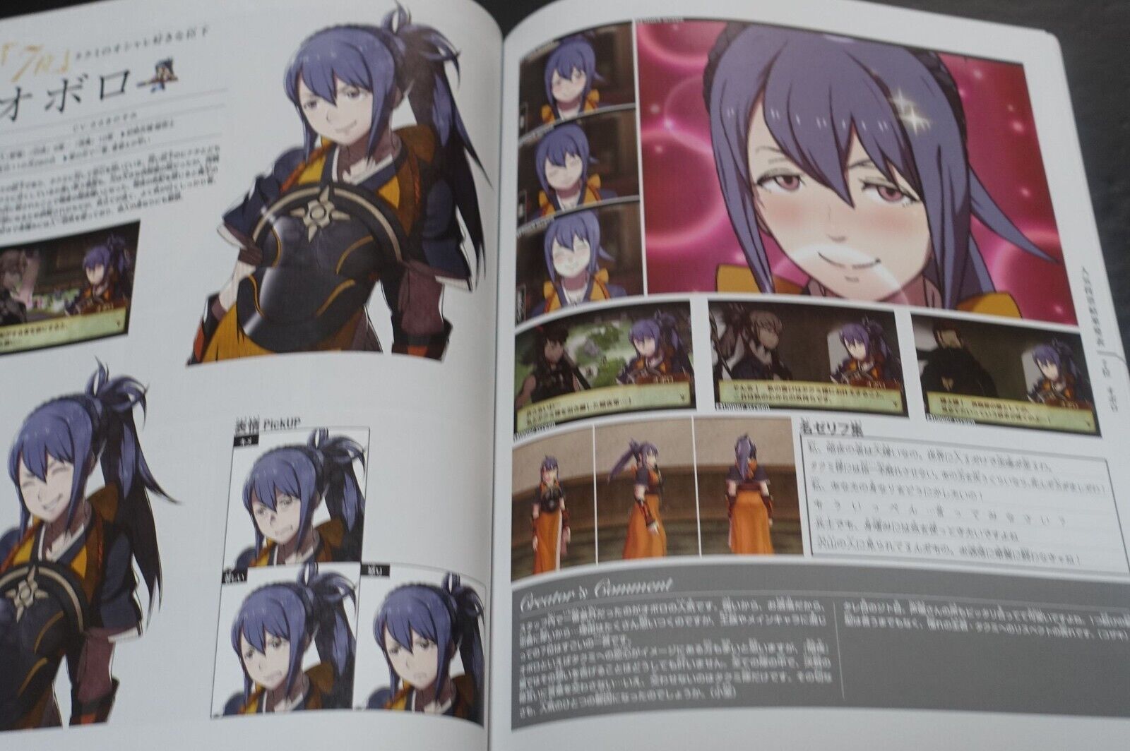 Fire Emblem If Fates Character Fan Book 
