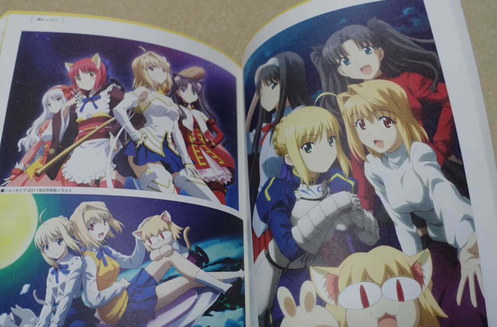 TYPE-MOON Carnival Phantasm Dokuhon setting art & story board 158page Fate 