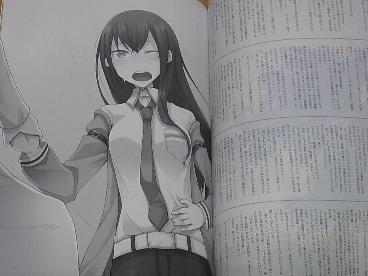 STEINS GATE ILLUSTRATIONS COLLECTION Art & Comic , Novel Huke etc 