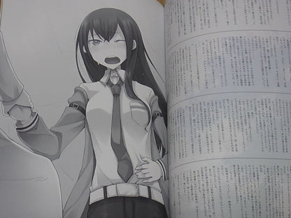 STEINS GATE ILLUSTRATIONS COLLECTION Art & Comic , Novel Huke etc 