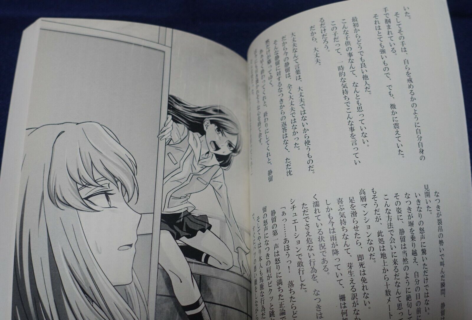 Enryu Sakuya Mai-Hime Natsuki&Shizuru Fan Made Novel Book Set Hitozuma Shizuru 