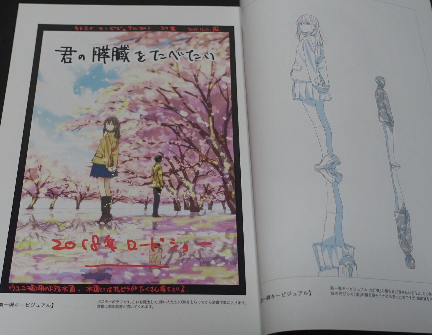 Yuichi Oka Animation I Want to Eat Your Pancreas Key Frame Revision Work Book 