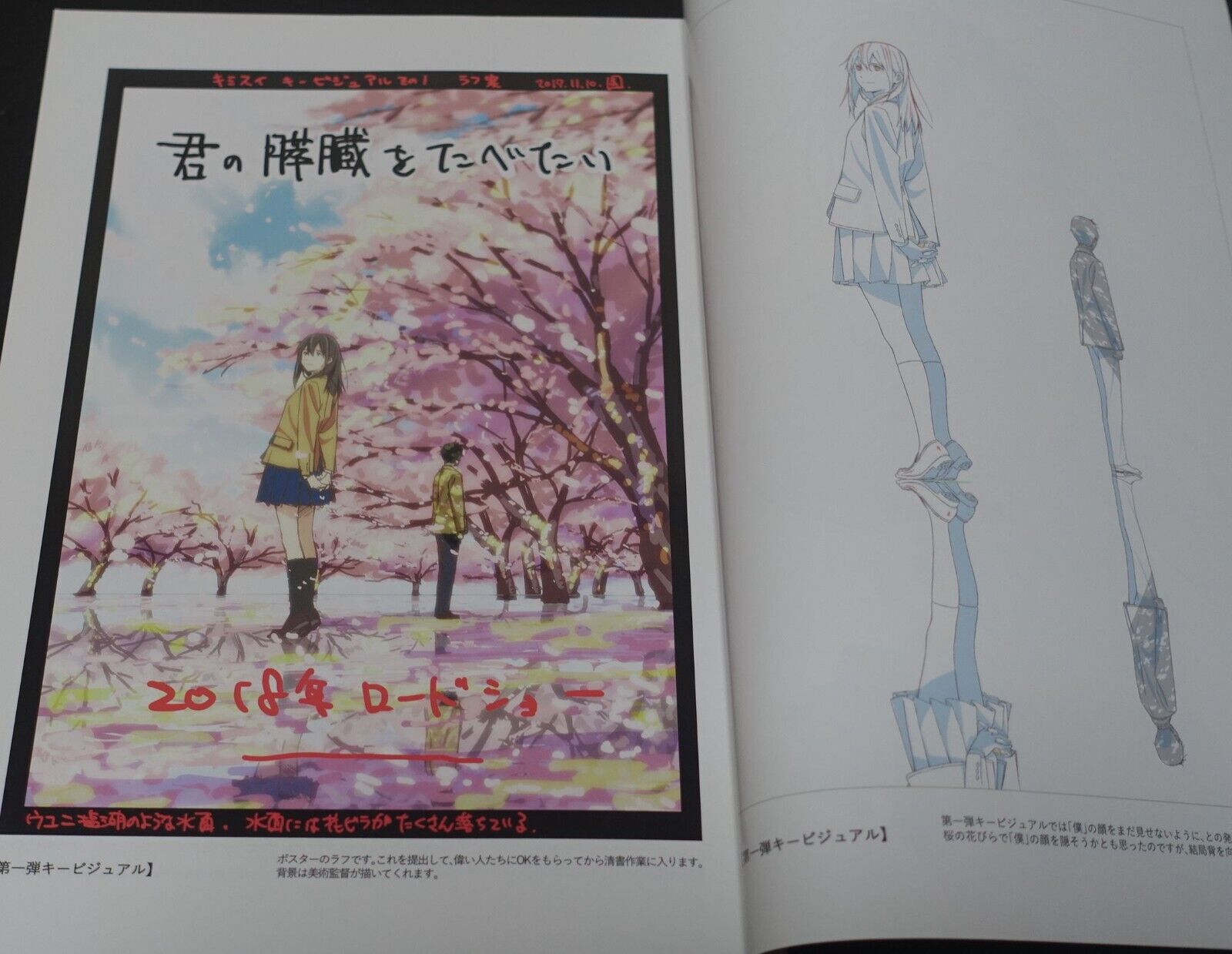 Yuichi Oka Animation I Want to Eat Your Pancreas Key Frame Revision Work Book 