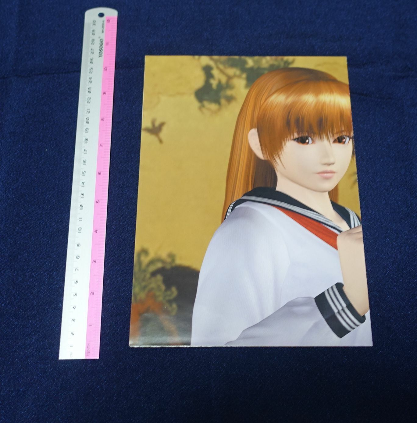 Dead Or Alive Online Ayane & Kasumi Reversible Poster C 