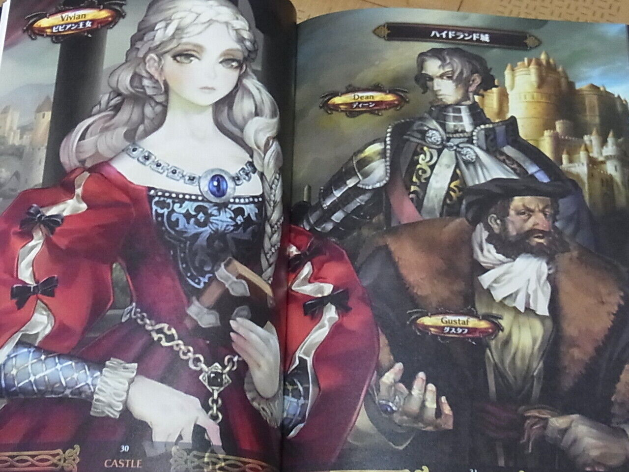 Dragon's Crown Color Art Book Art Works 62page 