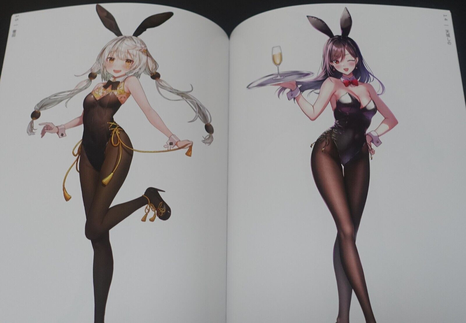GAKAKU Original Bunny Girl Art Book BUNNY HONEY BUNNY STANDING BUNNY 2ND 
