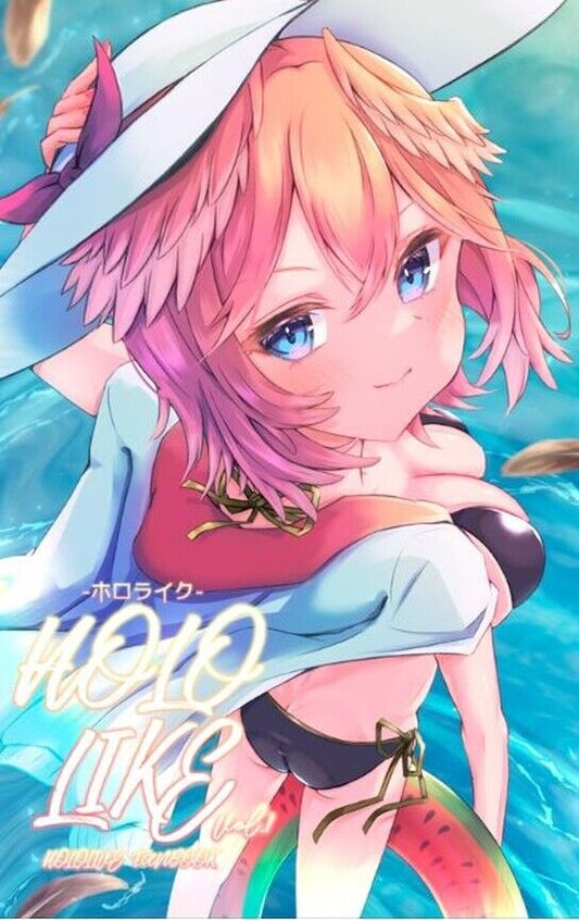 Yubisashi Kakunin VTuver Hololive Fan Art Book HOLOLIKE C100 Pre-Order 