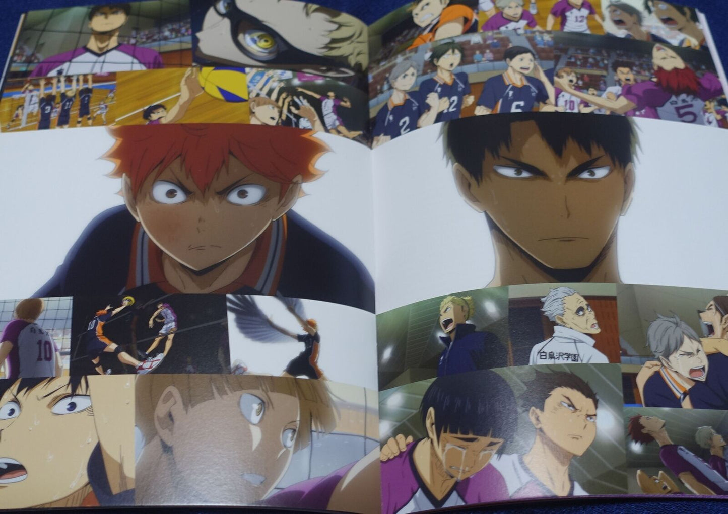Haikyu! The Movie Battle of Concepts Brochure Pamphlet 
