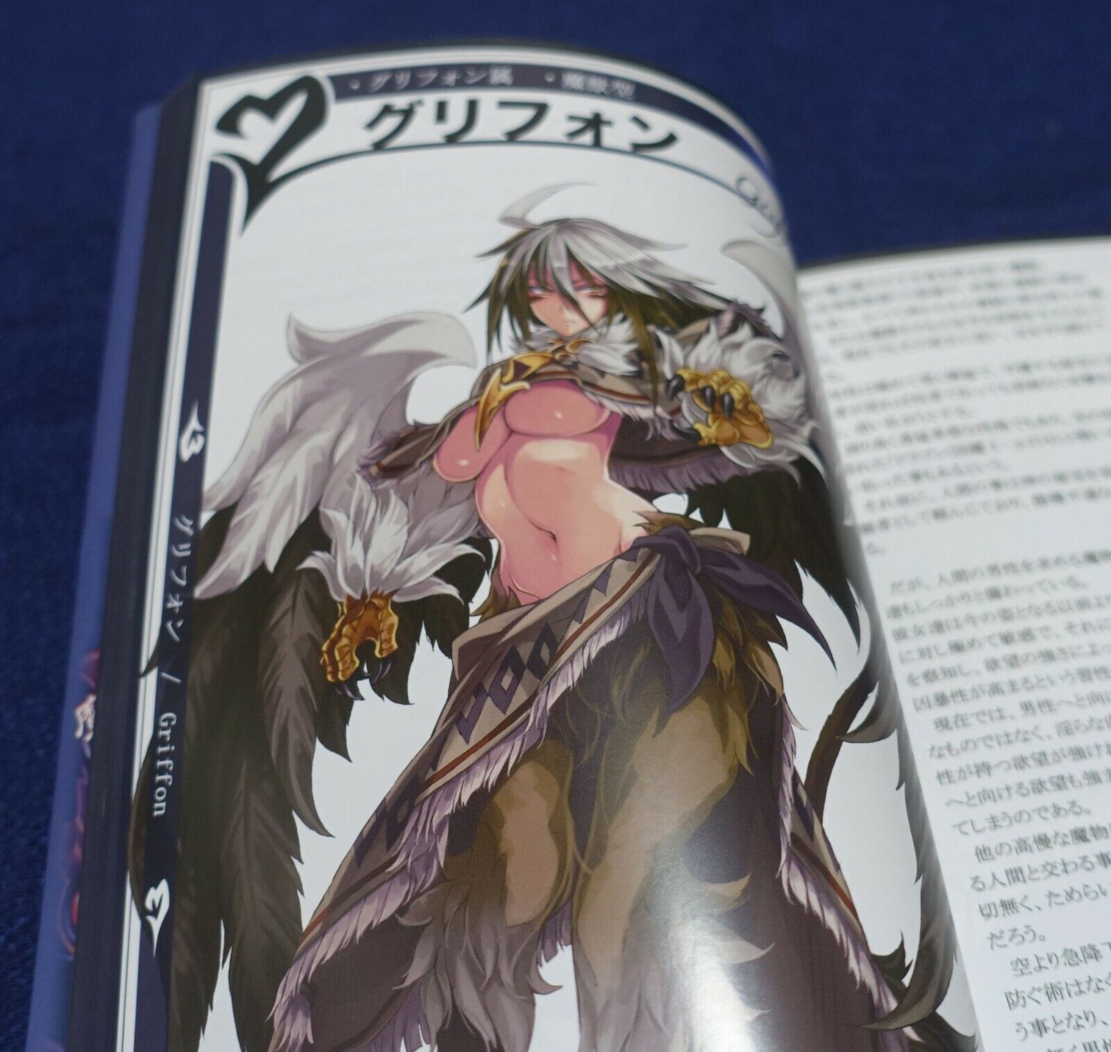 Kurobinega Monster Girl Encyclopedia vol.2 236page 
