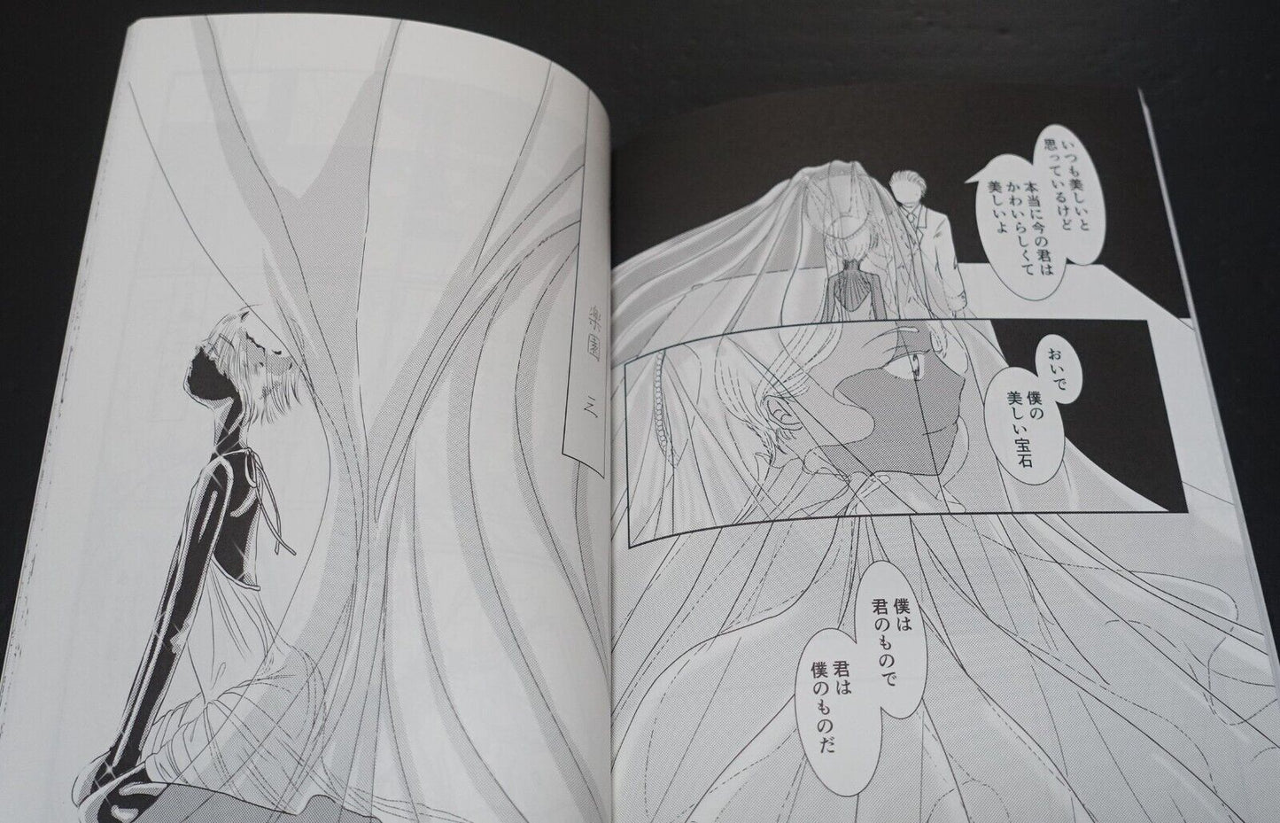 Kakiflyteishoku Houseki no Kuni Land of the Lustrous Fan Made Comic Rakuen 