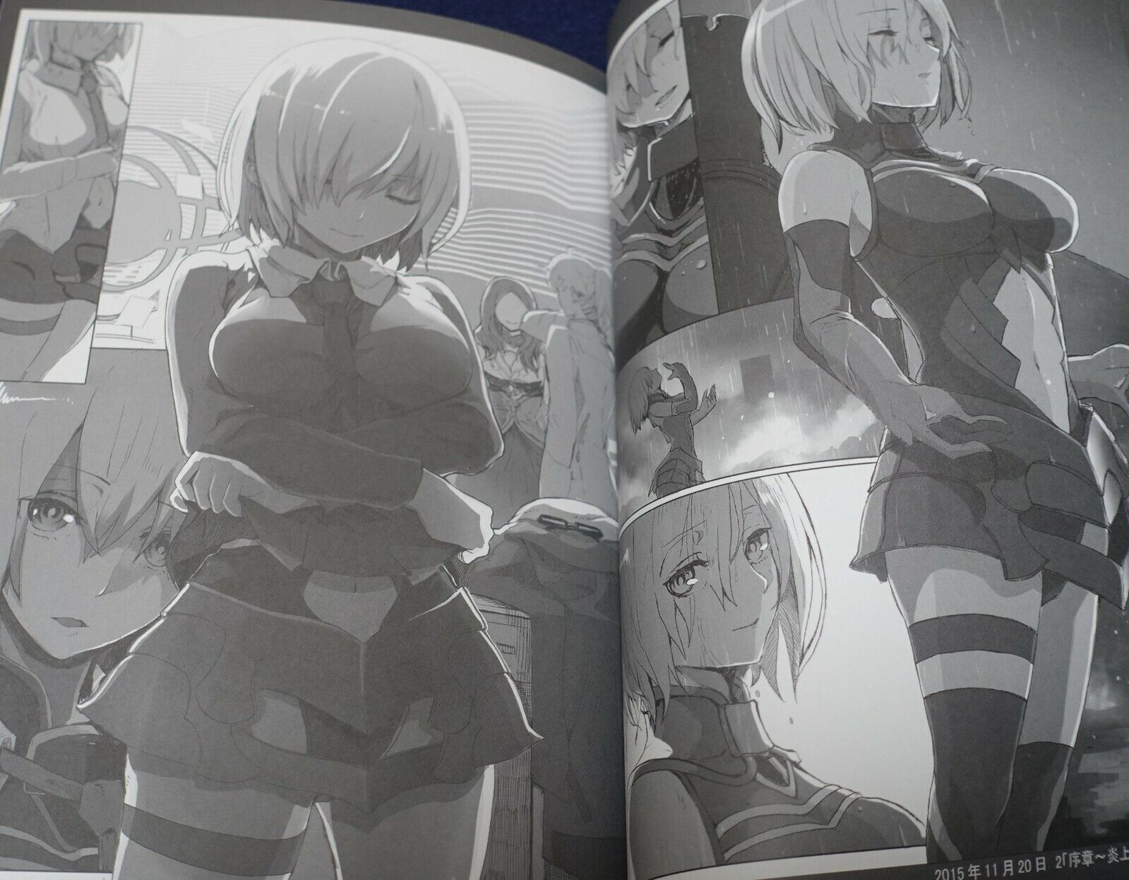 Syatey Fate Grand Order FGO Fan Art Book Mash Matome Hon 