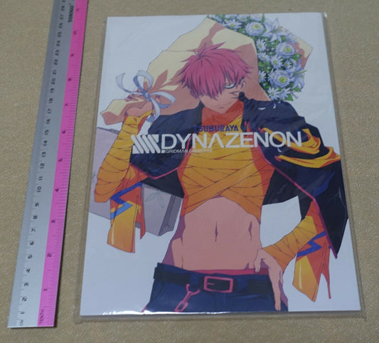 SSSS.DYNAZENON Staff Illustration Art Book Gridman 
