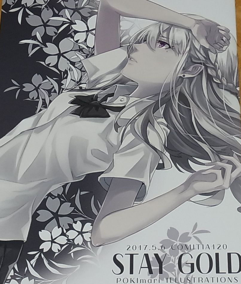 POKIZM Color Illustration Art Book STAY GOLD 