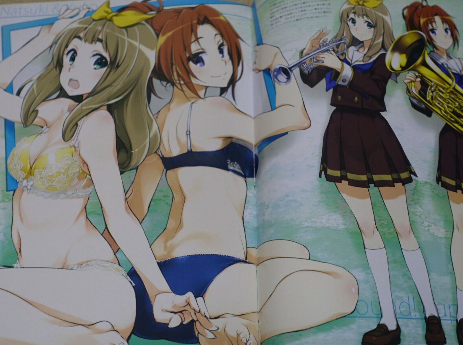 Tomoyasu Kurashima Okotanpe Sound! Euphonium Lingerie Color Fan Art Book 