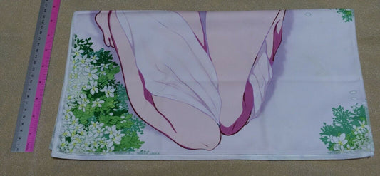 Pochi Iida Ane Naru Mono The Elder Sister Like One Chiyo Cloth Poster 41 x 88 cm 