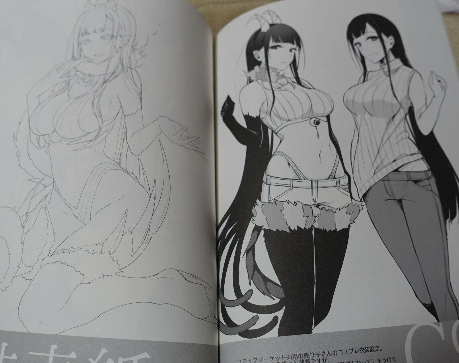 Pochi Iida Goya The Elder Sister Like One Art Book Ane Naru Mono 4.5 