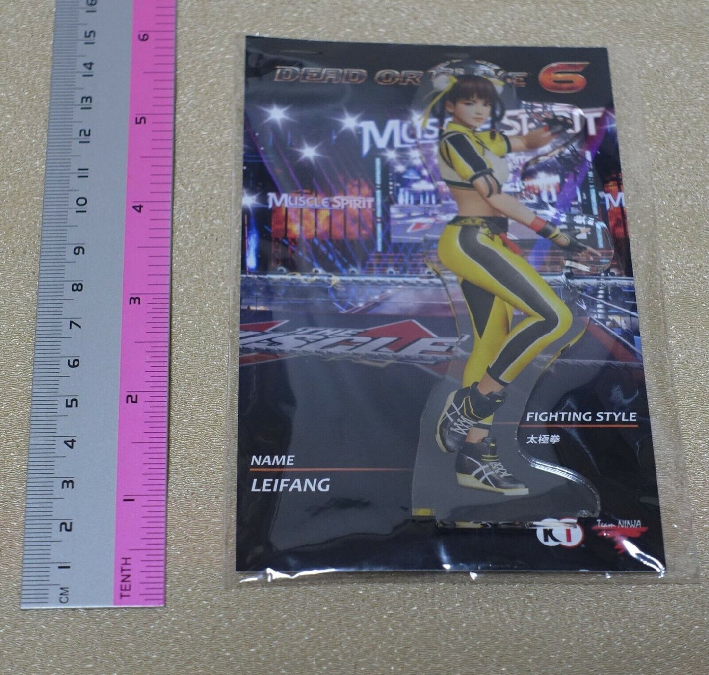 DEAD OR ALIVE DOA 6 Acrylic Stand Figure Leifang 