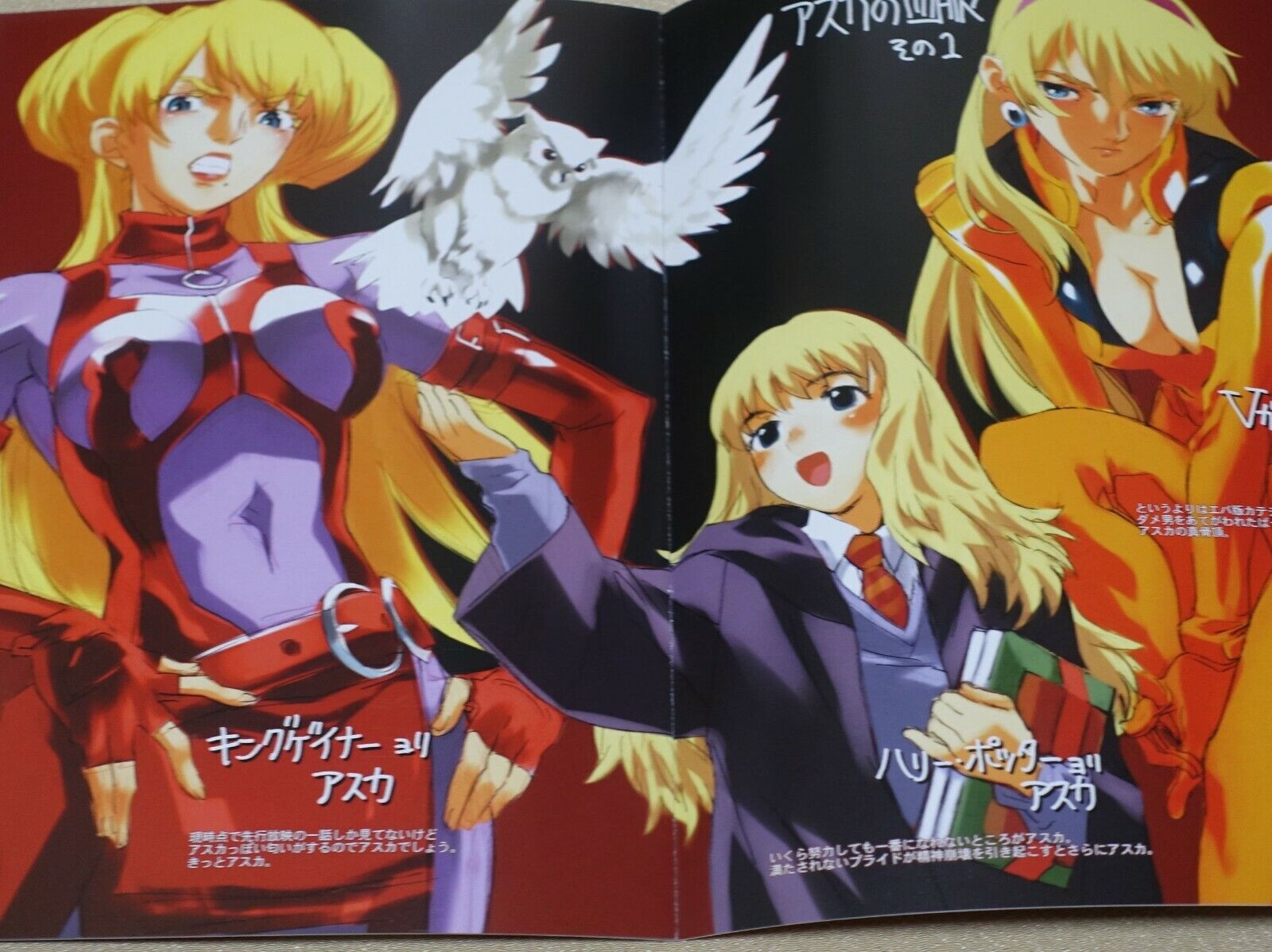 Nisieda Evangelion Fake Asuka Color Fan Art Book 