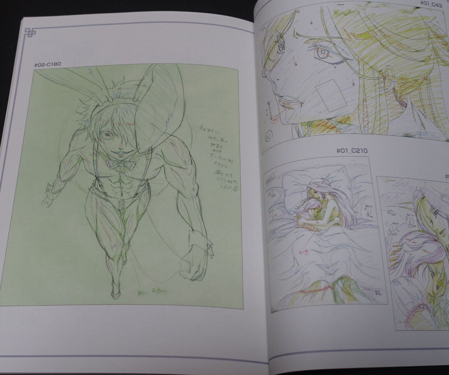 Animation Juni Taisen Key Frame Art Work Book 