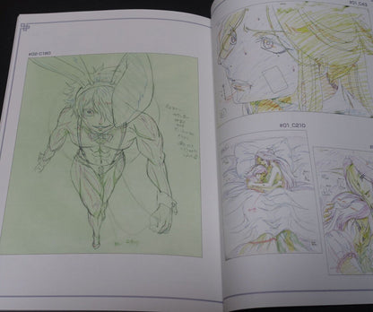Animation Juni Taisen Key Frame Art Work Book 