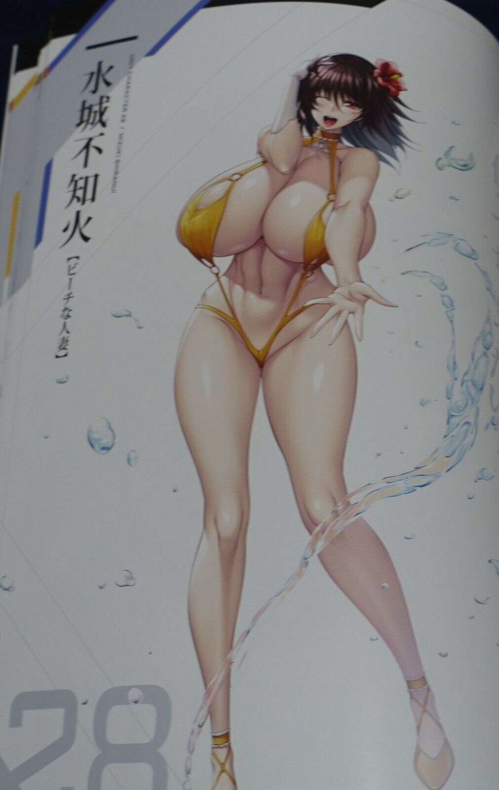 Lilith TAIMANIN RPGX CHARACTER VISUAL ART BOOK Vol.05 ASAGI 