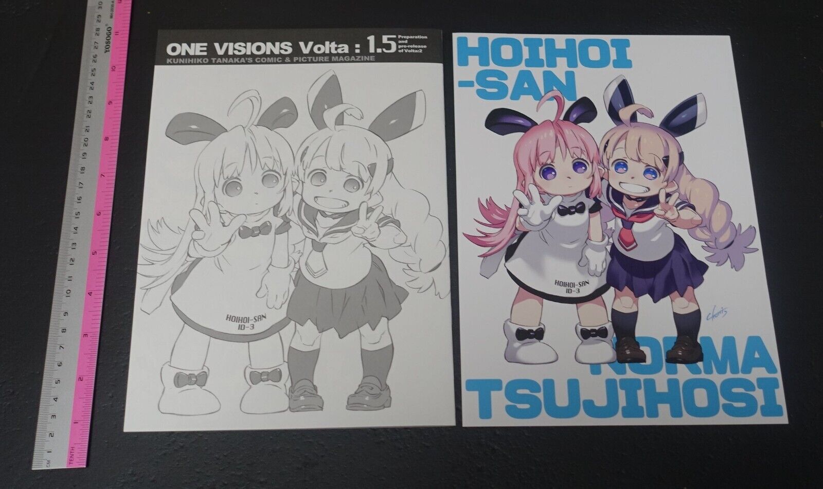 Kunihiko Tanaka Ichigeki Sacchu!! HoiHoi-san Designer Comic ONE VISIONS Volta1.5 