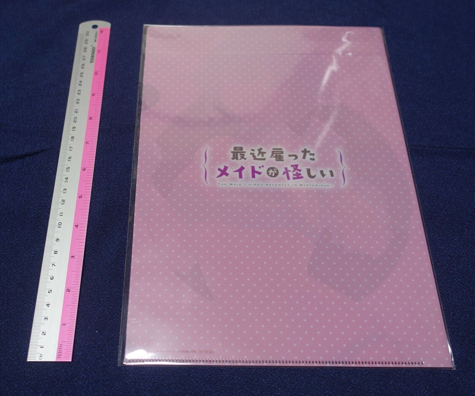 THE MAID I HIRED RECENTLY IS MYSTERIOUS PVC Art Sheet Clear File C 