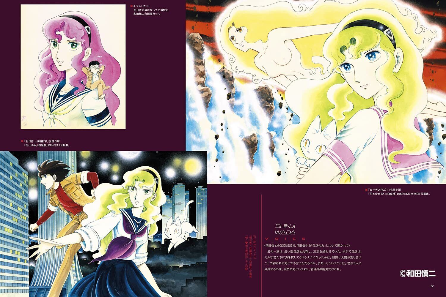 Shinji Wada ARTWORKS 