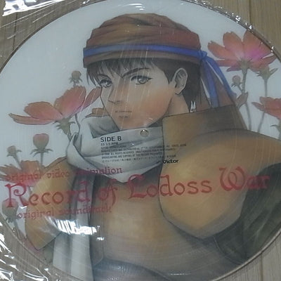 Animation Record of Lodoss War Sound Track Picture LP Disc Record 