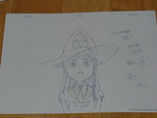Yoh Yoshinari Little Witch Academia Print Material Art 3 piece Set D 