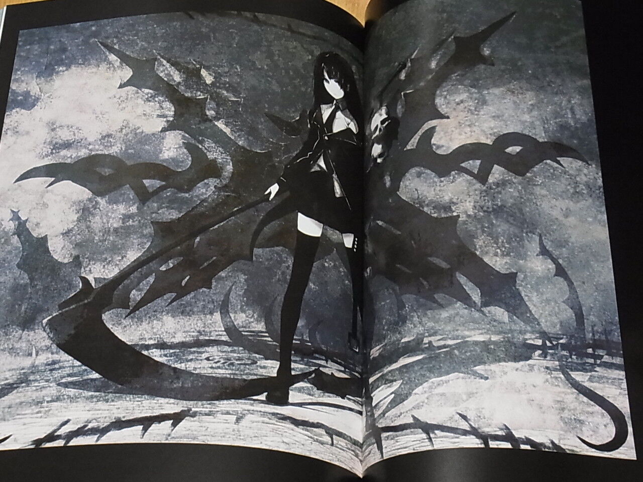 Huke Color Art Book Collection DLK Stein's Gate Black Rock Shooter 240page 