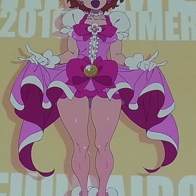 Shingo Fujii Key Frame art work Book Pretty Cure etc ANIME FUURAIBO 2016 SUMMER 