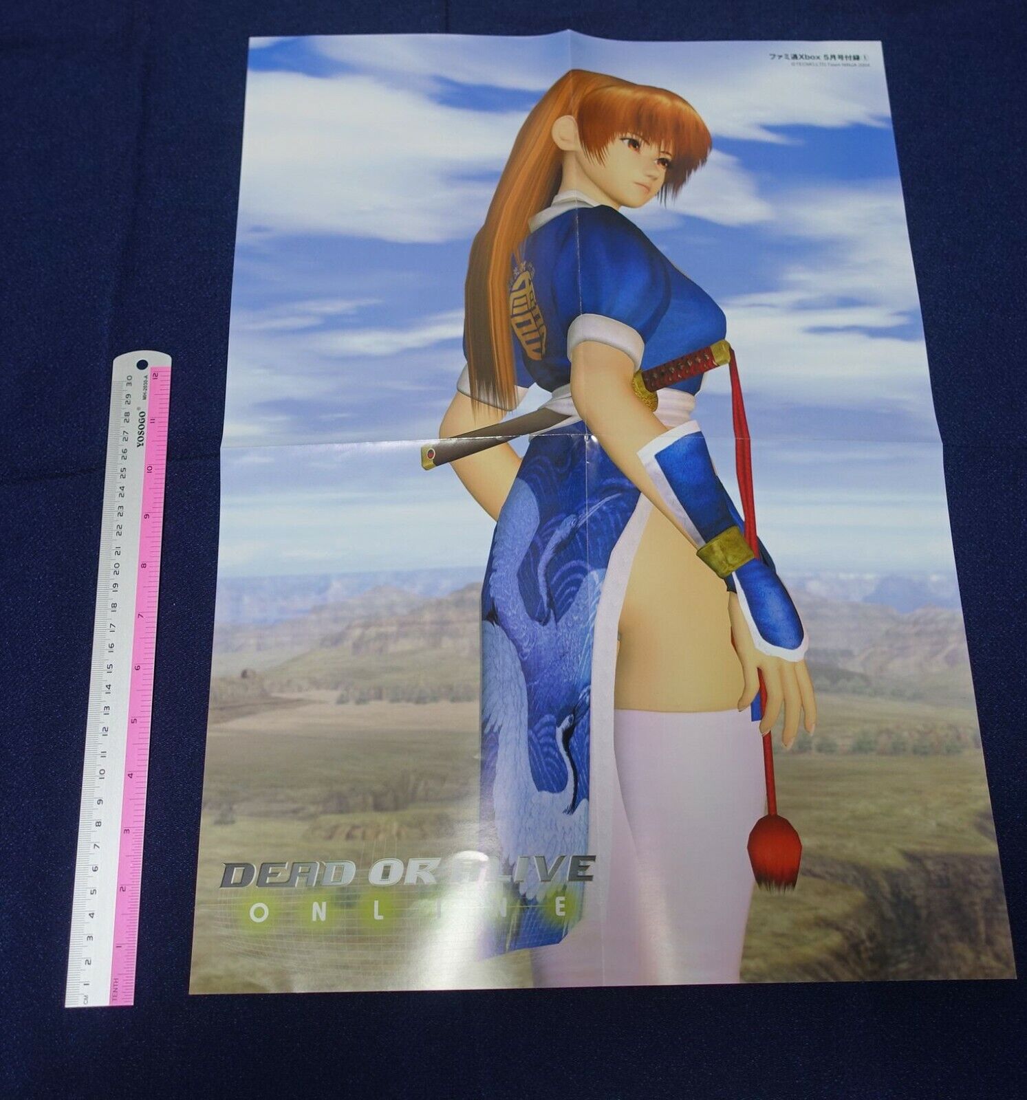 Dead Or Alive Online Ayane & Kasumi Reversible Poster B 