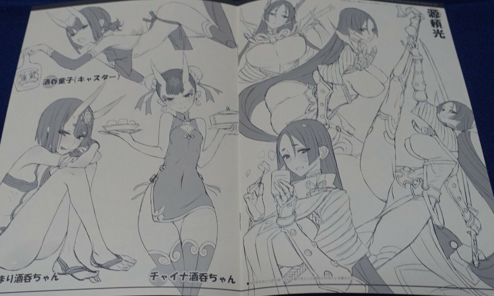 Raita Fate Grand Order FGO & Animation Fan Art Book Event Exclusive C97 