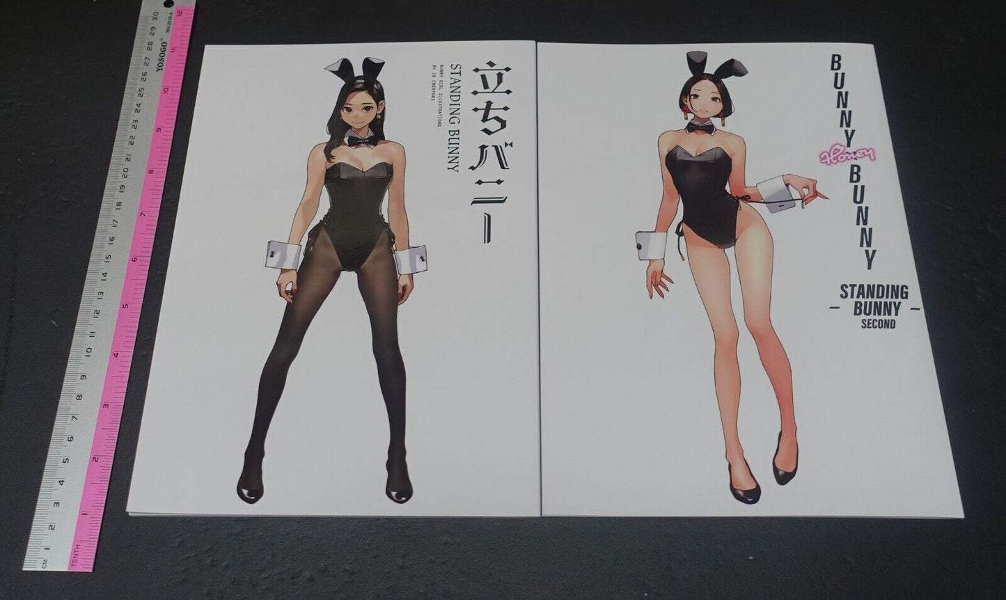 GAKAKU Original Bunny Girl Art Book BUNNY HONEY BUNNY STANDING BUNNY 1 & 2 