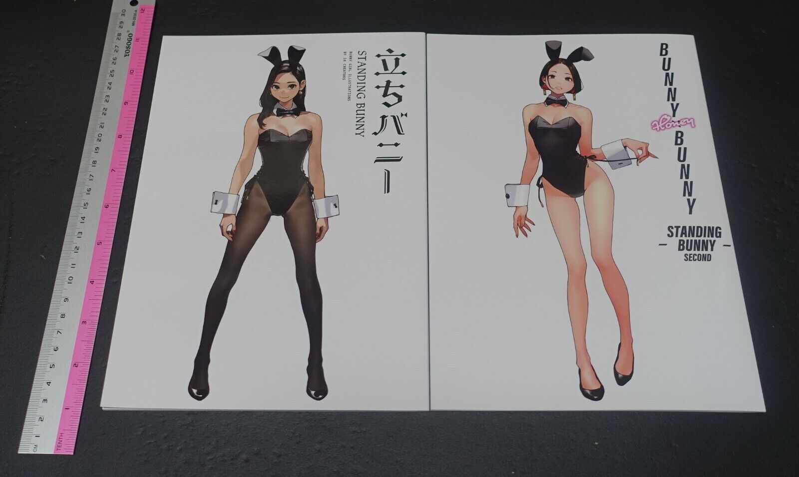 GAKAKU Original Bunny Girl Art Book BUNNY HONEY BUNNY STANDING BUNNY 1 & 2 
