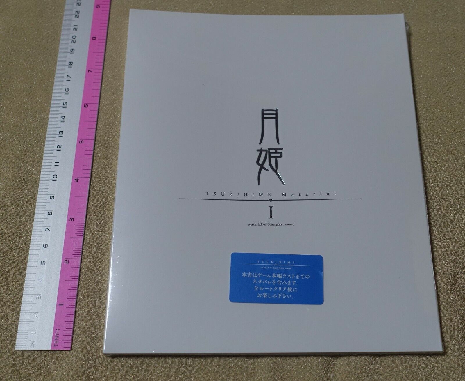 Tsukihime A piece of blue glass moon Staff Book & Setting Art Book 