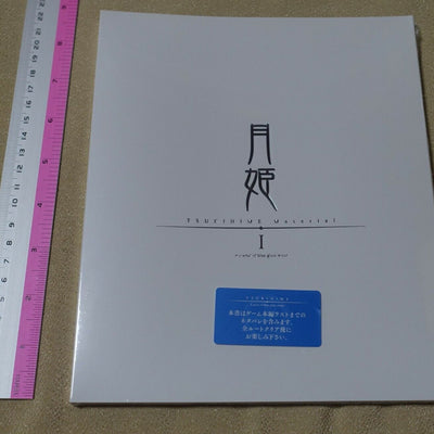 Tsukihime A piece of blue glass moon Staff Book & Setting Art Book 