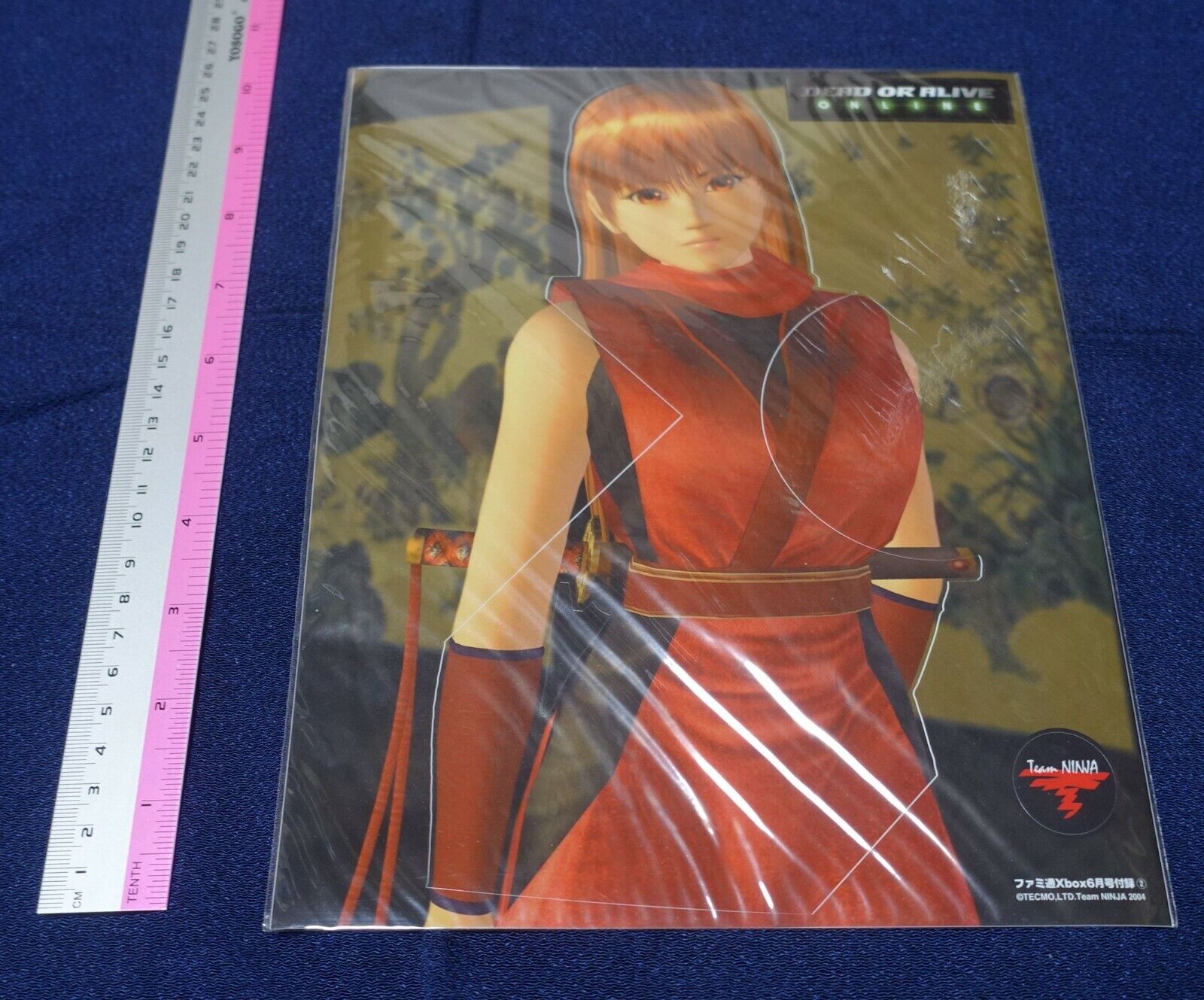 Dead or Alive Sticker Sheet Kasumi 
