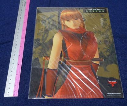Dead or Alive Sticker Sheet Kasumi 