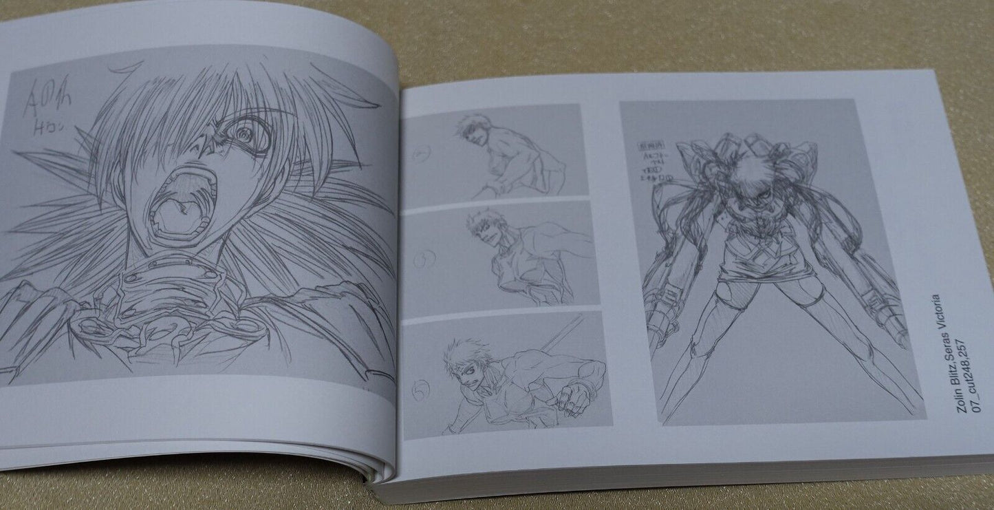 RYOJI NAKAMORI WORKS 2009-2011 HELLSING 7-11 Key Frame art collection book 