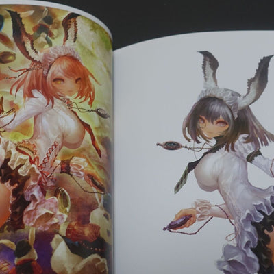 Nanatorie N.A Rage of Bahamut Art Work Book Historie 