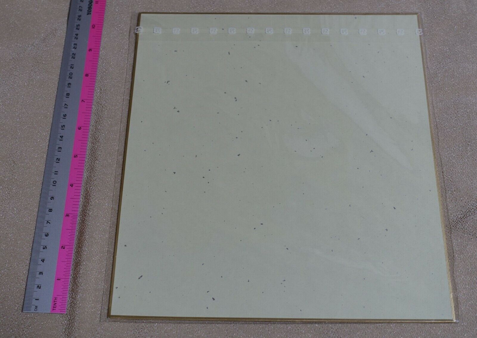Dorei to no Seikatsu Teaching Feeling Sylvie Print Shikishi Art Board 
