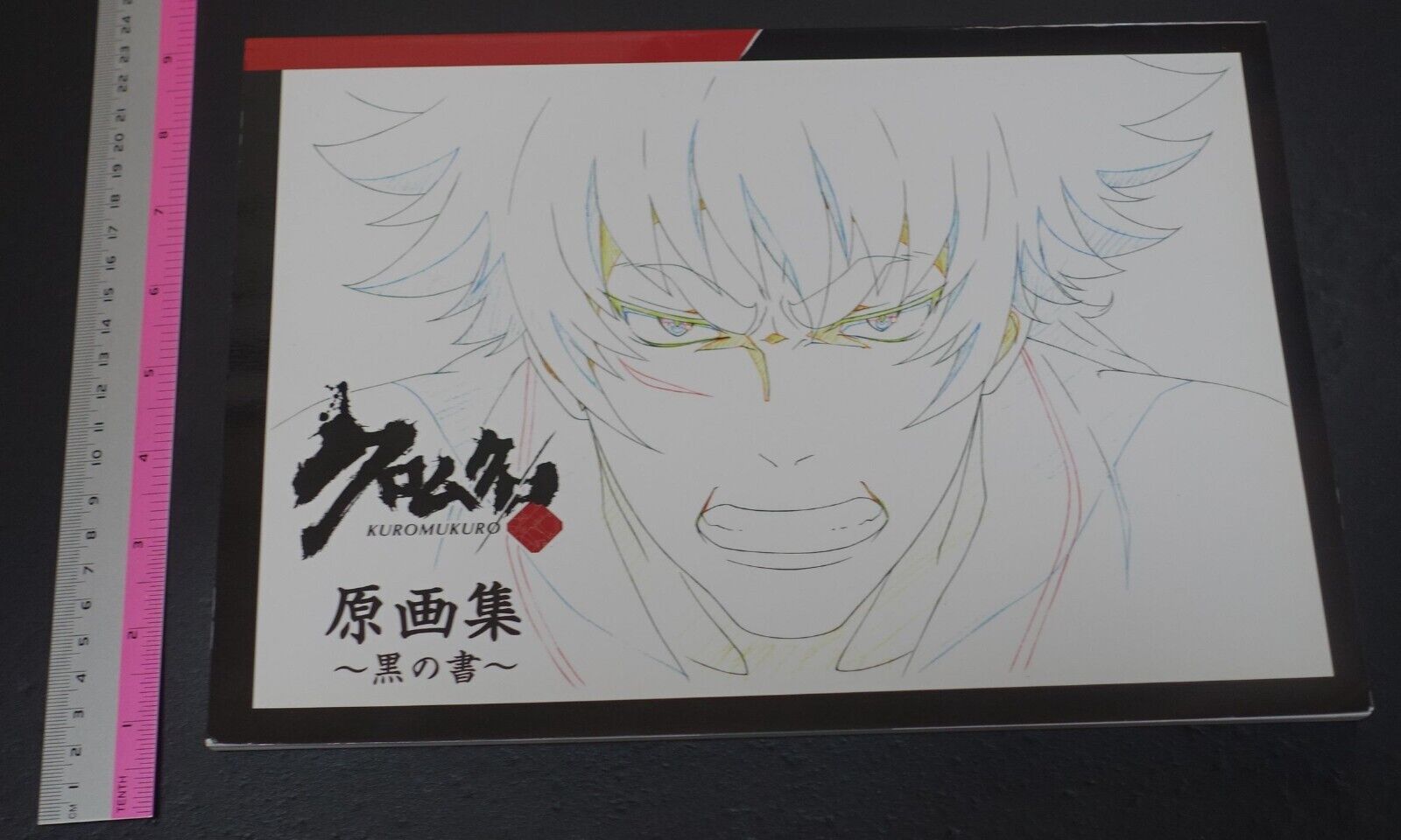 Animation Kuromukuro Key Frame Art Work Book of Black 