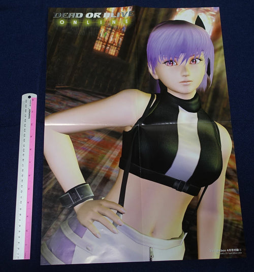 Dead Or Alive Online Ayane & Kasumi Reversible Poster A 