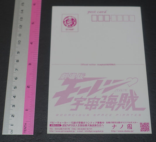 Bodacious Space Pirates Post Card 