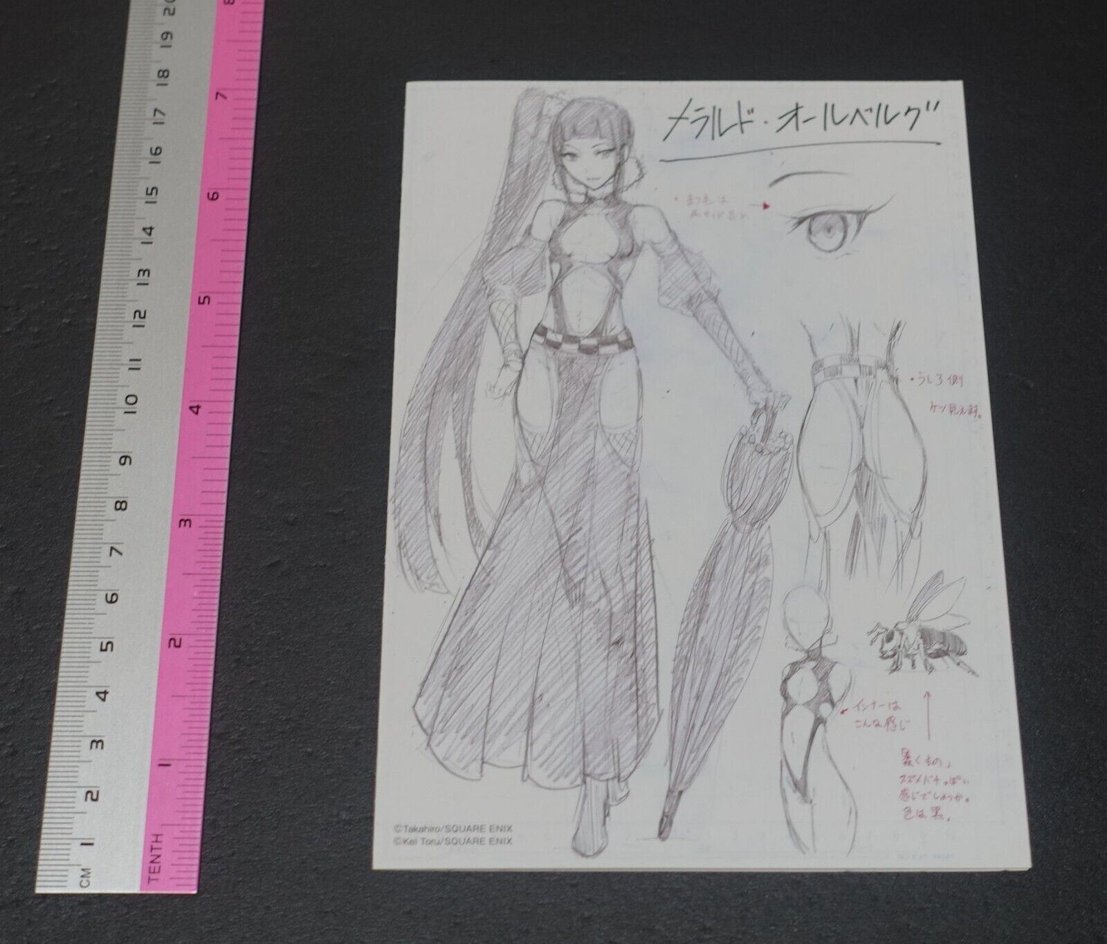Akame ga Kill! Zero Rough Illustration Art Mini Booklet B 4page 
